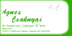 agnes csaknyai business card
